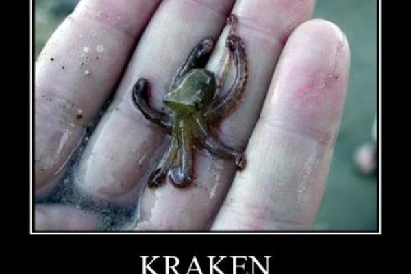 Kraken onion link